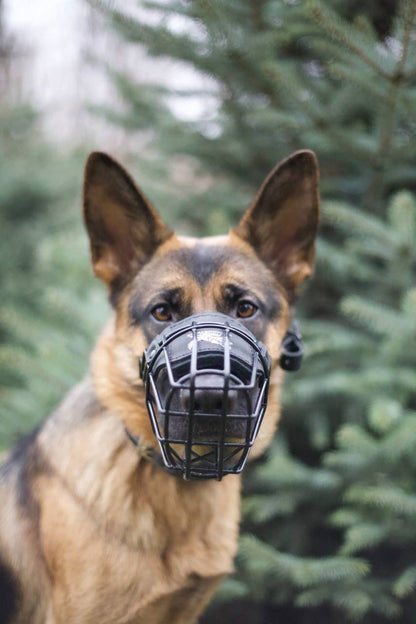 Everyday Tactical Dog Muzzle – Safe, Secure & Comfortable