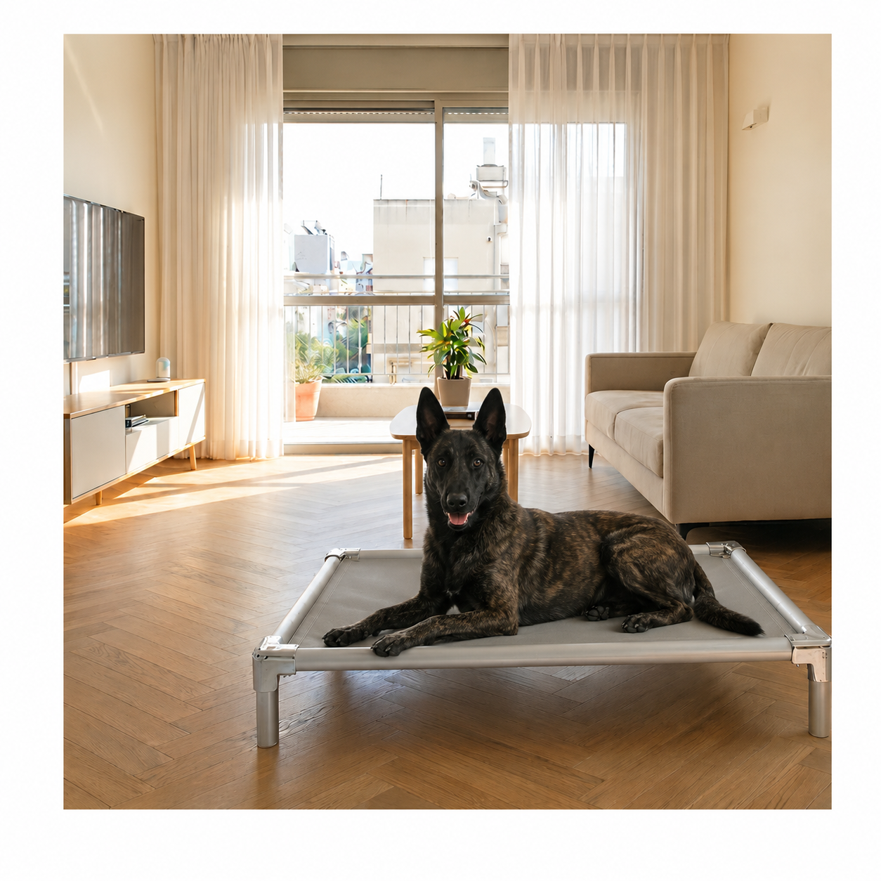 Elevated orthopedic aluminum dog bed in a home setting