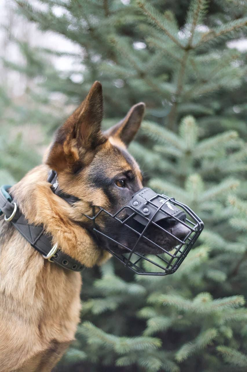 Everyday Tactical Dog Muzzle – Safe, Secure & Comfortable