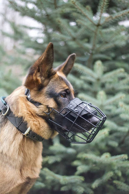 Everyday Tactical Dog Muzzle – Safe, Secure & Comfortable