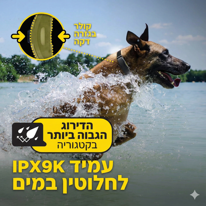 Dogtra ARC-X features