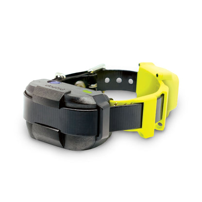 Dogtra GPS Fence collar