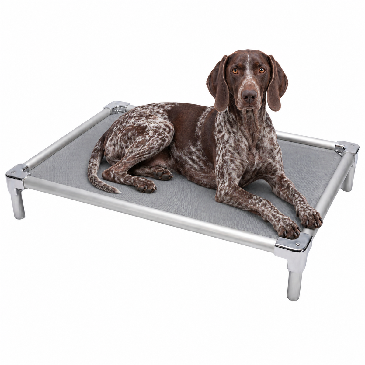 Elevated aluminum orthopedic bed for German Shorthaired Pointers - chew-resistant with cooling airflow