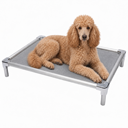 Elevated aluminum orthopedic bed for Standard Poodles - chew-resistant with cooling airflow