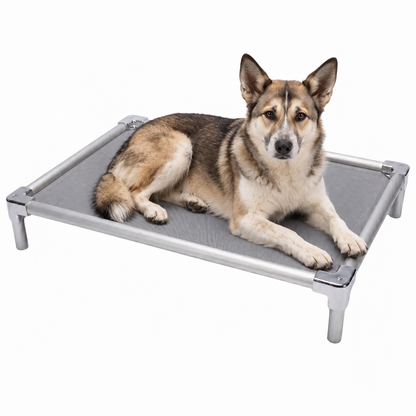 Elevated aluminum orthopedic bed for Canaan Dogs - chew-resistant with cooling airflow