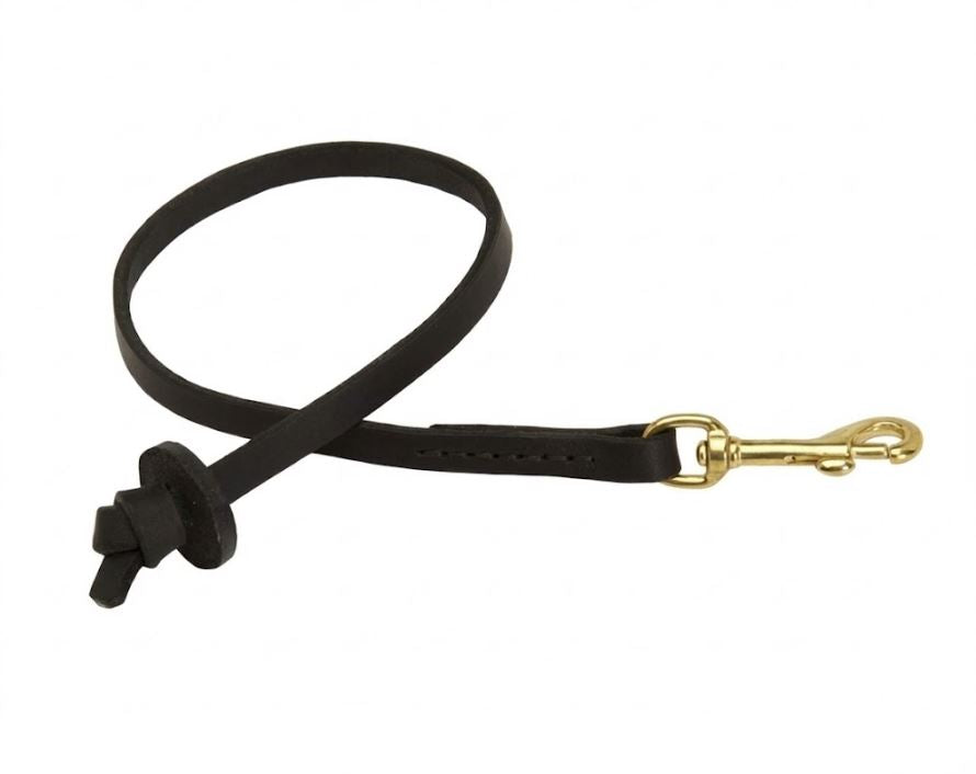 Professional Pocket Leather Dog Leash – Short Control Lead with Circle Handle & Brass Snap Hook