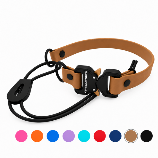 Quick-release e-collar strap with bungee color options