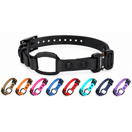 E-collar strap with built-in bungee loop color options