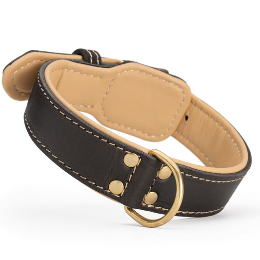 Premium Leather Dog Collar with Soft Nappa Padding (40mm)