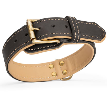 Premium Leather Dog Collar with Soft Nappa Padding (40mm)