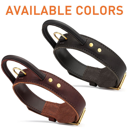 Ultimate Heavy Duty Leather Dog Collar with Control Handle
