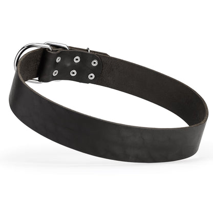 Extra Wide 2-Inch (50mm) Single-Ply Leather Dog Collar