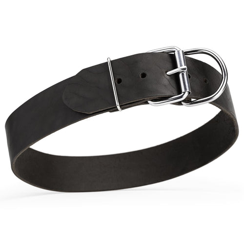 Extra Wide 2-Inch (50mm) Single-Ply Leather Dog Collar