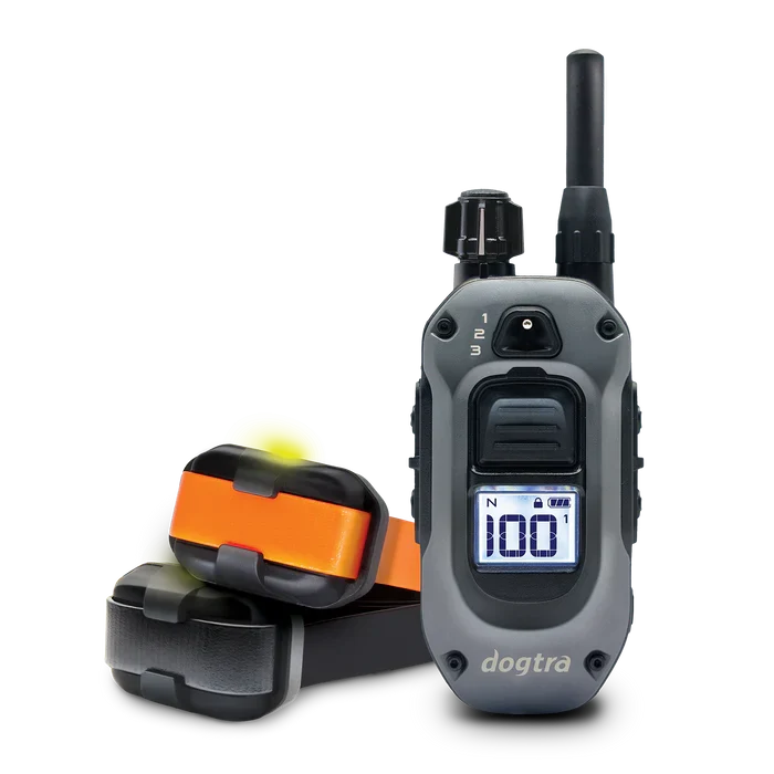 Dogtra 282X (642X) 2-dog training collar kit