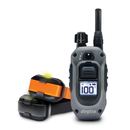 Dogtra 282X (642X) 2-dog training collar kit
