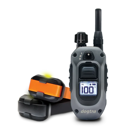 Dogtra 282X (642X) 2-dog training collar kit