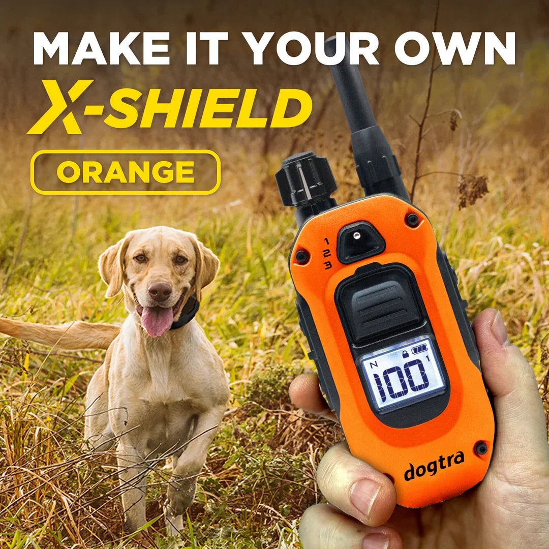 Dogtra X-Shield Orange