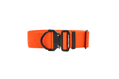 Orange 50mm BioThane collar