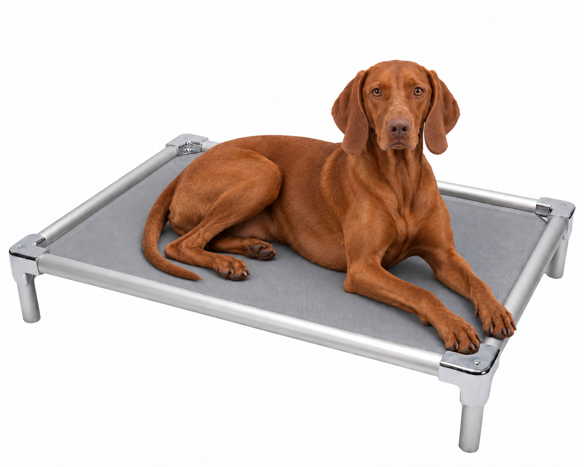 Elevated aluminum orthopedic bed for Vizslas - chew-resistant with cooling airflow