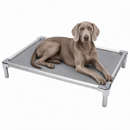 Elevated aluminum orthopedic bed for Weimaraners - chew-resistant with cooling airflow
