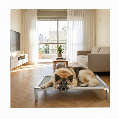 Akita resting on an orthopedic elevated aluminum dog bed at home