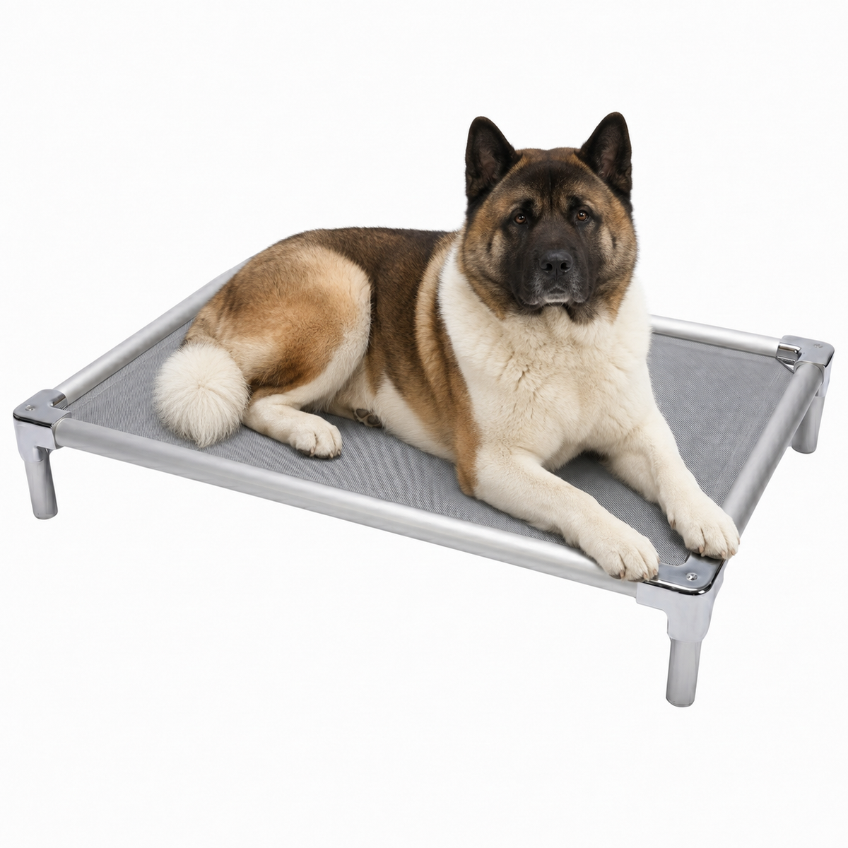 Elevated aluminum orthopedic bed for Akitas - chew-resistant with cooling airflow