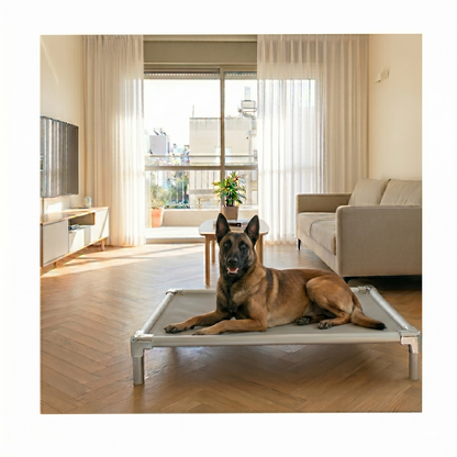 Chew-proof elevated dog bed for working dogs