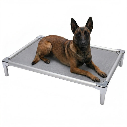 Orthopedic aluminum elevated bed for Belgian Malinois