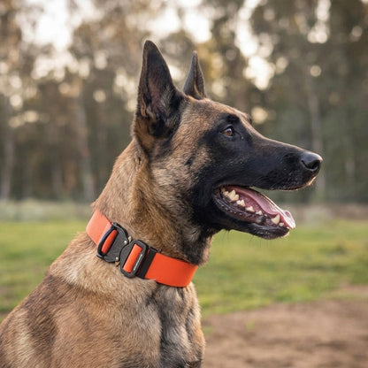 Wide PowerFlex collar for Belgian Malinois