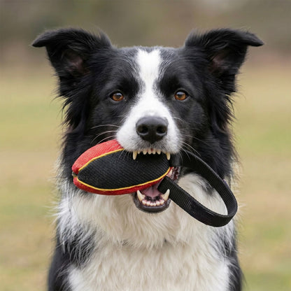 Colorful watermelon bite ball for Border Collie