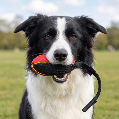 French linen watermelon tug for Border Collie