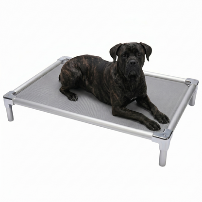 Orthopedic aluminum elevated bed for Cane Corso