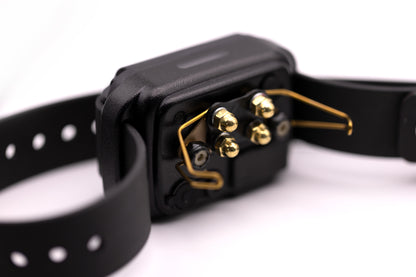 E-Collar CPAD-011 Ultra Wing contact pad
