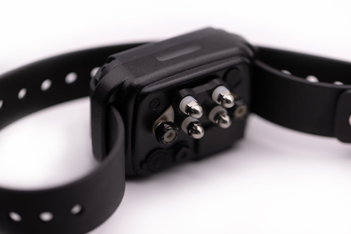 E-Collar CPAD-024 Titanium Short Point comfort pad