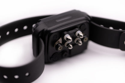 E-Collar CPAD-024 Titanium Short Point comfort pad