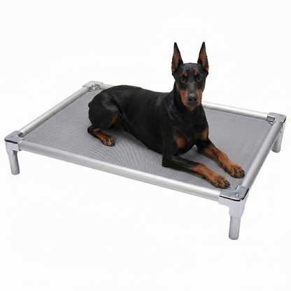 Orthopedic aluminum elevated bed for Doberman