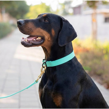 Everyday PowerFlex collar for Doberman