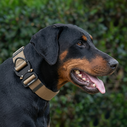 Tactical nylon collar for Doberman
