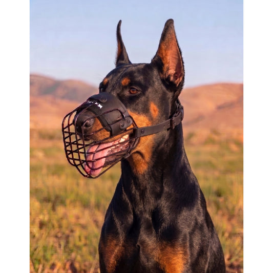 Minimalist lightweight Lite muzzle for Doberman