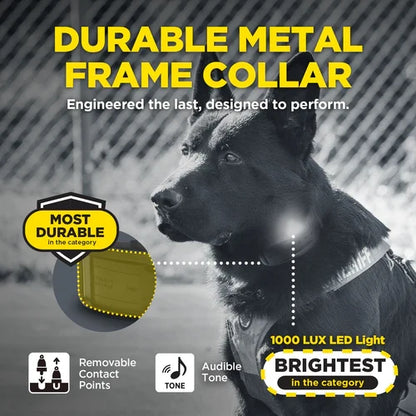 Dogtra 1900X Black Edition professional series