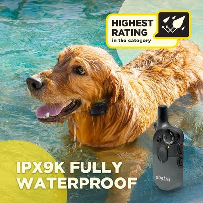 Dogtra 600iQ (200iQ) Remote Dog Training Collar - 2026 Model