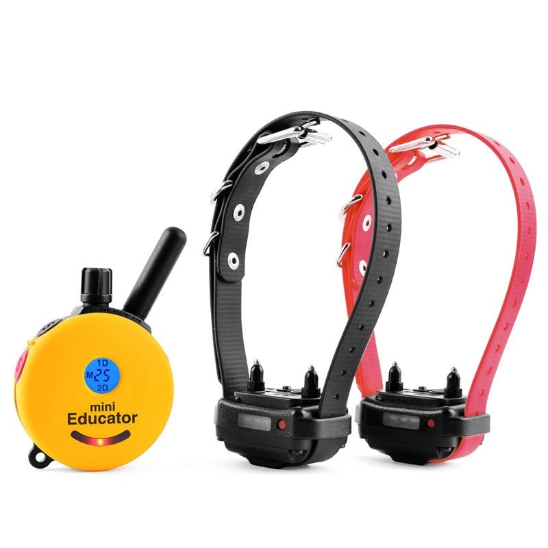 E-Collar ET-302 2-Dog Mini Educator remote dog trainer