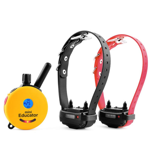 E-Collar ET-302 2-Dog Mini Educator remote dog trainer
