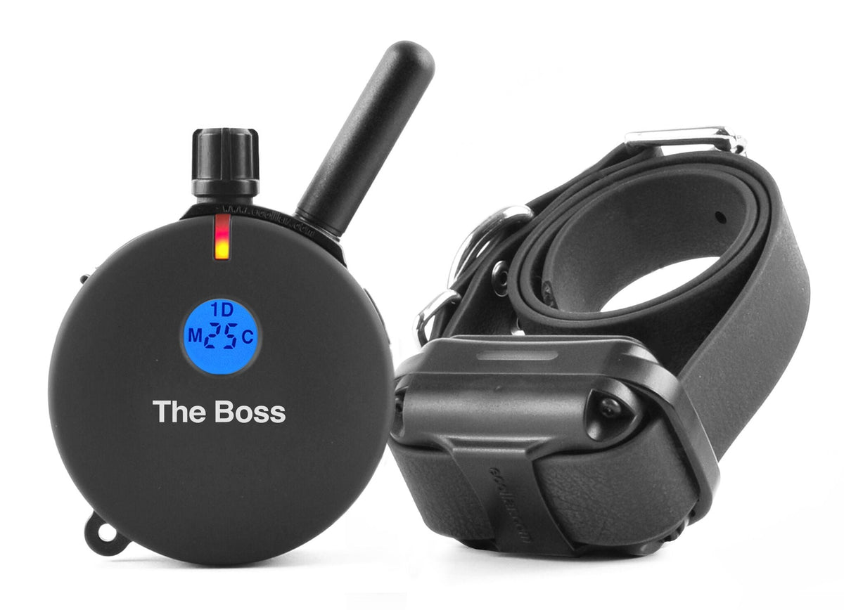 ET-800 The Boss 1 mile remote dog trainer