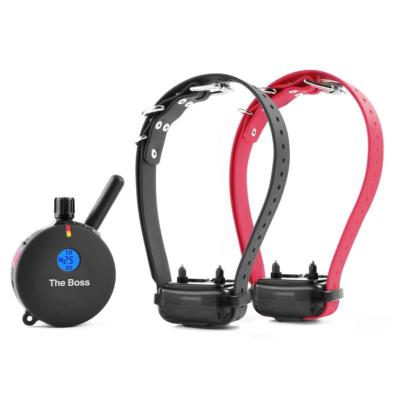 E-Collar ET-802 2-Dog The Boss remote dog trainer