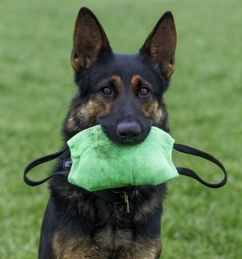 Professional bite pillow for German Shepherds and working dogs