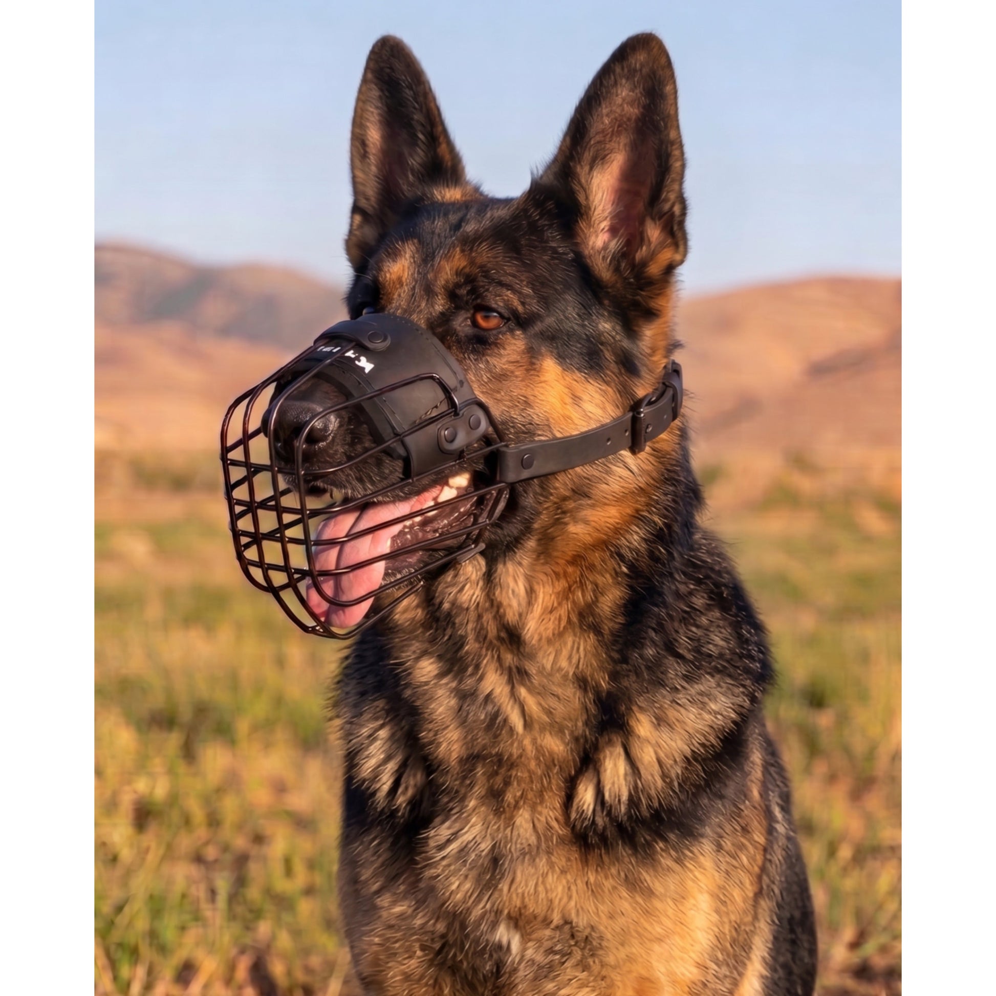 Minimalist lightweight wire muzzle for German Shepherds