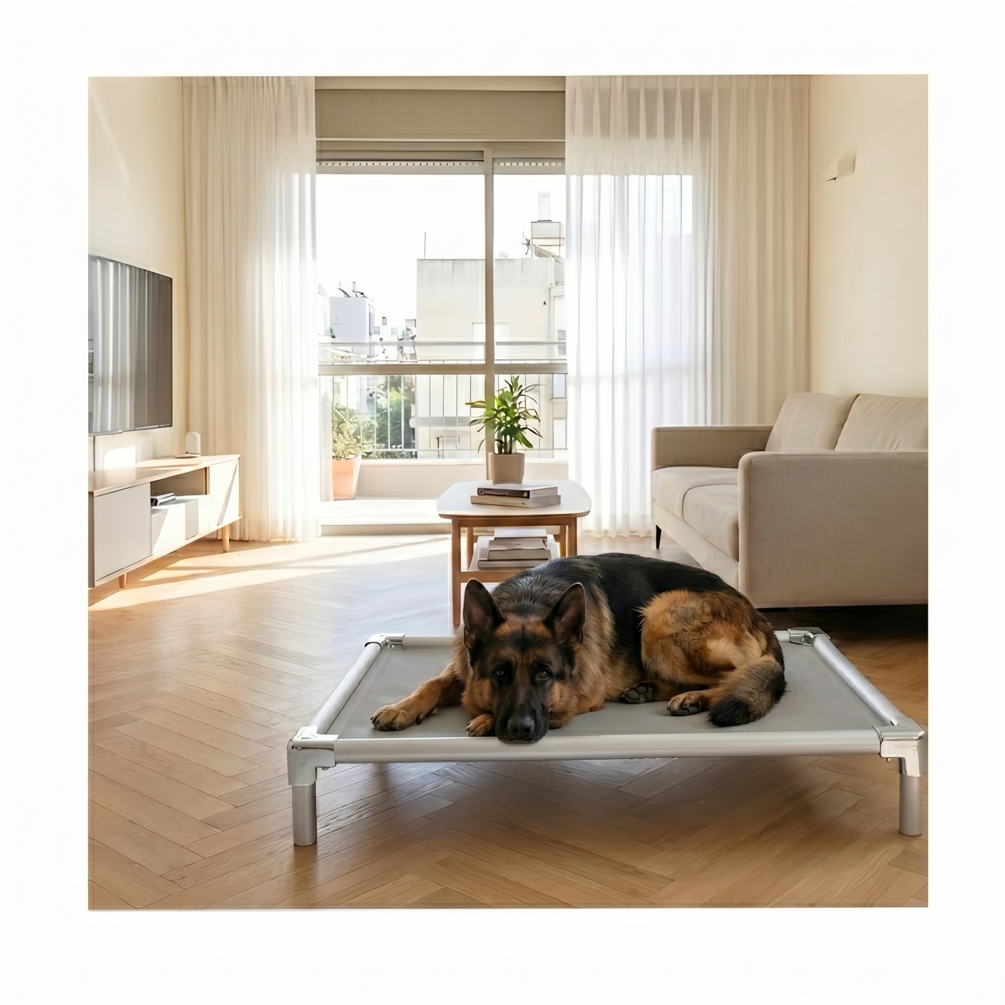 Chew-proof elevated dog bed for large breeds