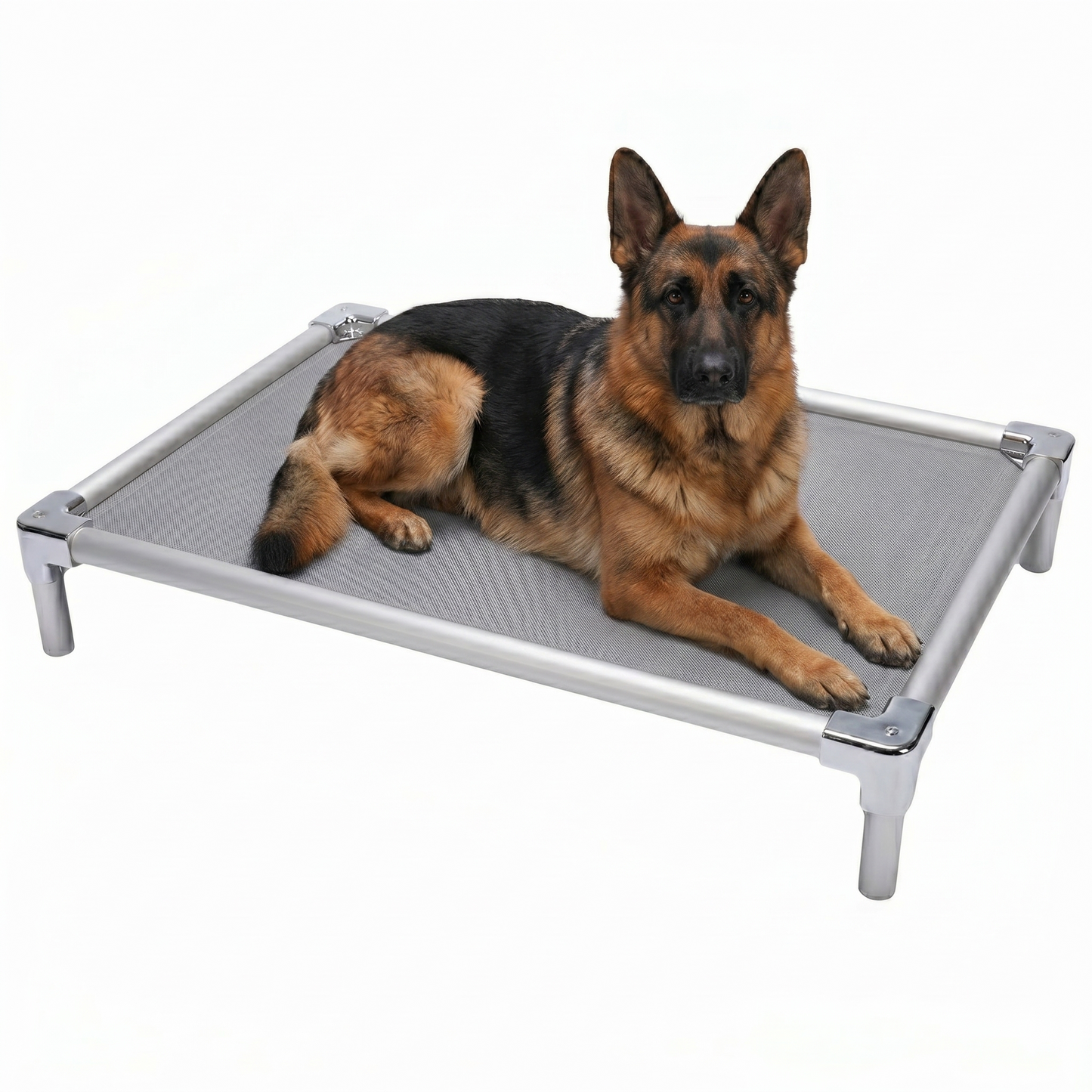 Orthopedic elevated aluminum bed for German Shepherds