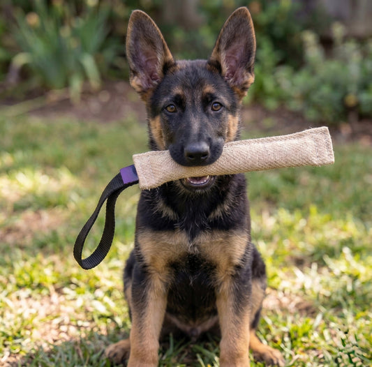 Jute puppy bite tug for German Shepherds